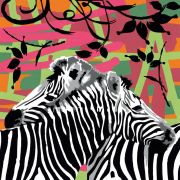 Ravensburger Zebras
