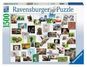 Ravensburger Puzzle Funny Animals Collage