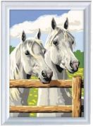 Ravensburger Schimmel