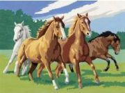 Ravensburger Wildpferde