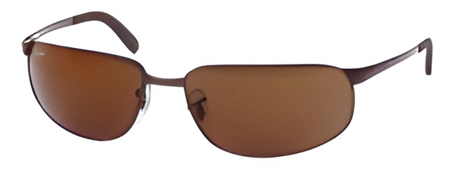 Ray Ban RB3221