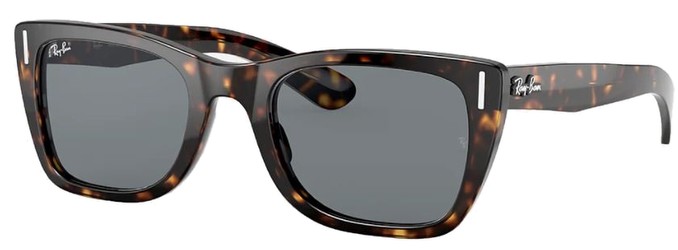 Ray Ban RB2248