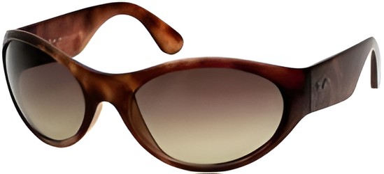 Ray Ban RB4064