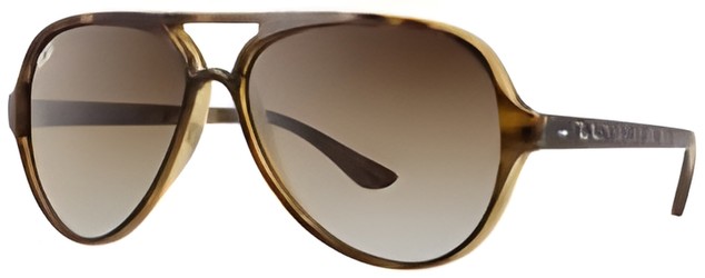 Ray Ban RB 4125 Cats 5000