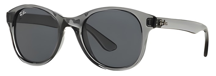 Ray Ban RB4203