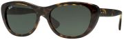 Ray Ban RB4227