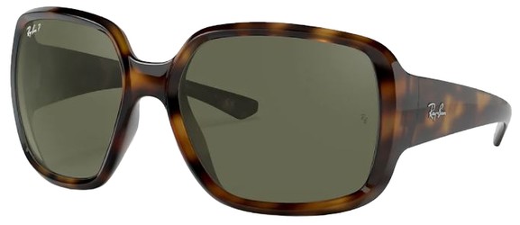Ray Ban RB4347