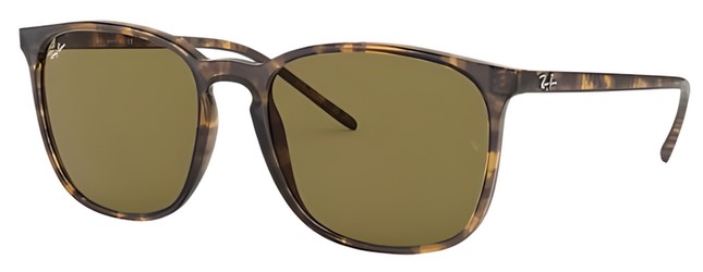 Ray Ban RB4387