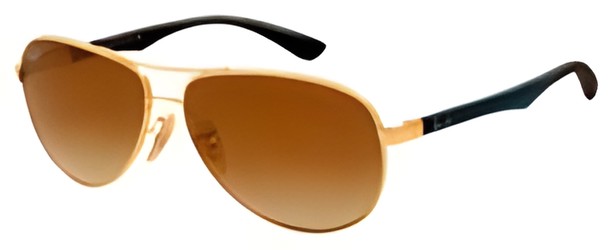 Ray Ban RB8313