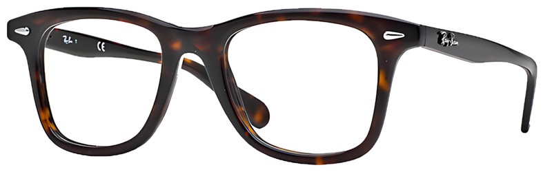 Ray Ban RX5317