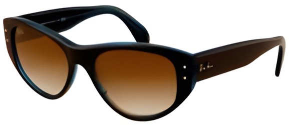 Ray Ban Vagabond Ray Ban Vagabond