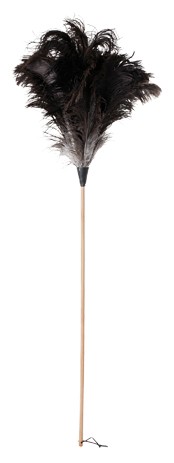 Redecker Straußenwedel 110 cm (468803)