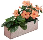 Relaxdays Blumenkasten für innen (10027000) Relaxdays Blumenkasten für innen (10027000)