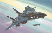 Revell F-14A Black Tomcat Revell F-14A Black Tomcat