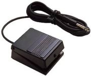 Roland DP-2