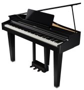 Roland GP-3