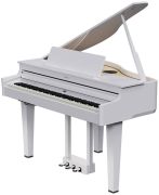 Roland GP-6