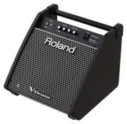 Roland PM-100
