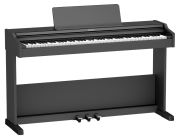 Roland RP107