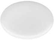 Rosenthal Jade Platte 43 cm