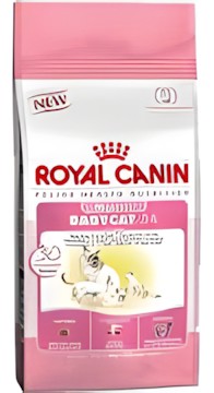 Royal Canin Babycat 34 2 kg