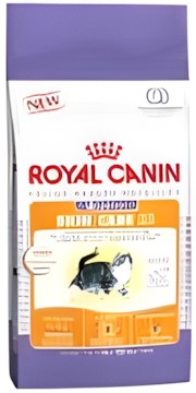 Royal Canin Hair & Skin Care 33 4 kg