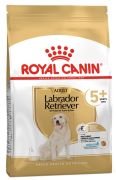 Royal Canin Labrador Retriever Adult 2 x 12 kg