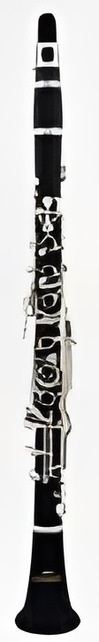 Roy Benson Bb-Klarinette CG-220