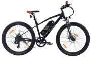 SachsenRAD R6 Neo 29"