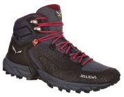 Salewa Alpenrose 2 Mid GTX Damen