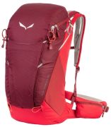 Salewa Alp Trainer 25