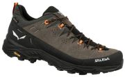 Salewa Alp Trainer 2 GTX Herren