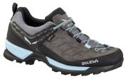 Salewa MTN Trainer 2 GTX Damen