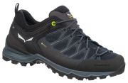 Salewa MTN Trainer Lite GTX Herren