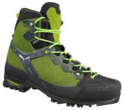 Salewa Raven 3 GTX Herren