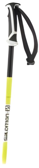 Salomon Arctic