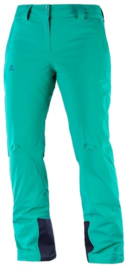 Salomon Icemania Pant W