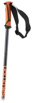 Salomon X 08