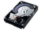 Samsung SpinPoint F1 RAID 1TB (HE103UJ)