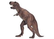 Schleich Dinosaurier Tyrannosaurus Rex (14525)