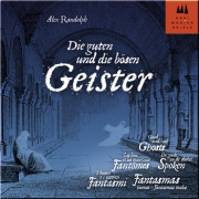 Schmidt Spiele Die guten und die bösen Geister