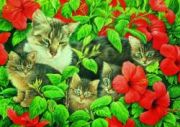 Schmidt Spiele Katzenfamilie Schmidt Spiele Katzenfamilie