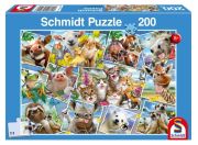 Schmidt Spiele Puzzle Tierische Selfies Schmidt Spiele Puzzle Tierische Selfies