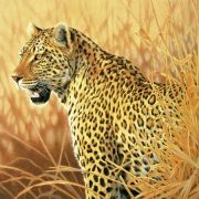 Schmidt Spiele Stolzer Leopard