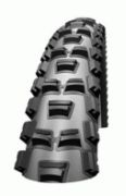 Schwalbe Albert