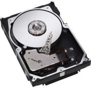 Seagate Cheetah 10k.7 146GB (ST3146707LC)