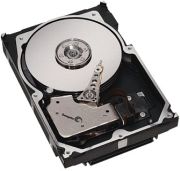 Seagate Cheetah 10K.7 146GB (ST3146707LW)