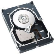 Seagate Cheetah 15K.4 146GB (ST3146854LC)