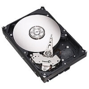 Seagate Barracuda 7200.8 250GB (ST3250823A) Seagate Barracuda 7200.8 250GB (ST3250823A)