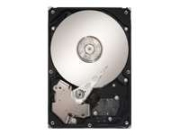 Seagate DB35 320GB (ST3320820ACE)